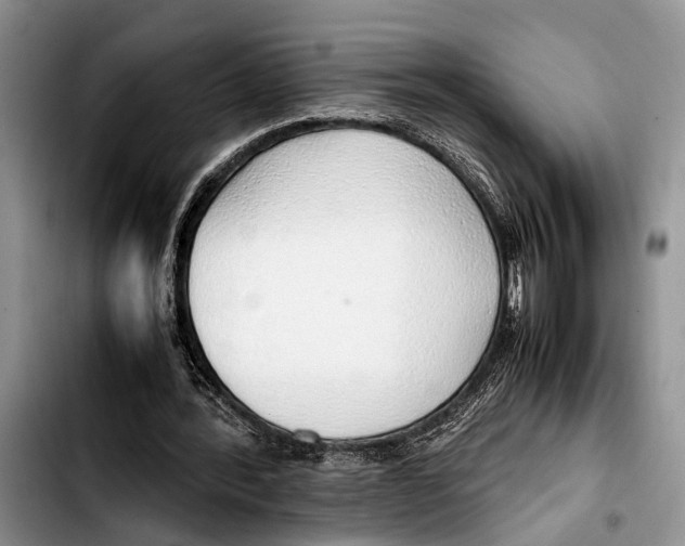 X0000103410388200810101001