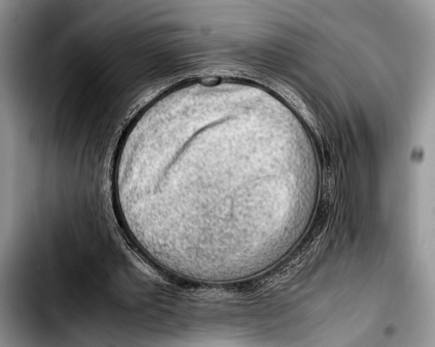 X0000103410389200810101001