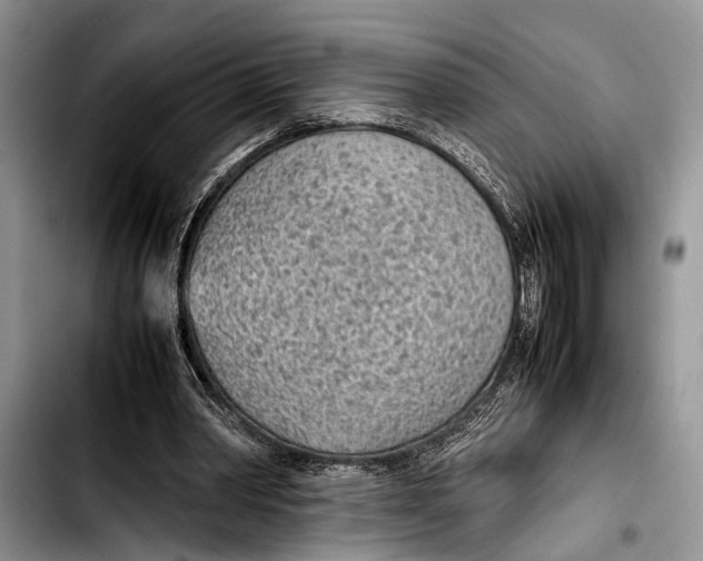 X0000103410390200810101001