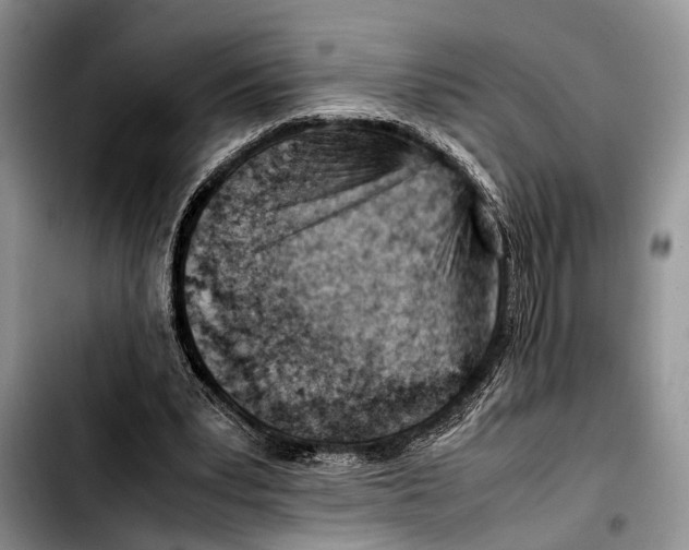 X0000103410391200810101001