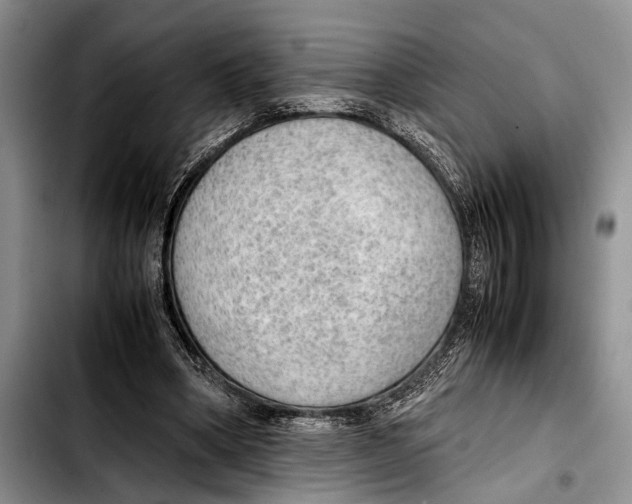 X0000103410394200810101001