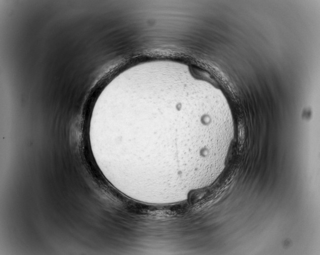 X0000103410396200810101001