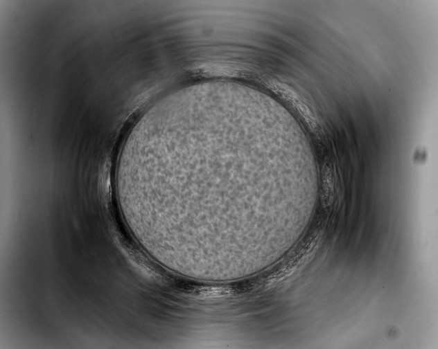 X0000103410398200810101001