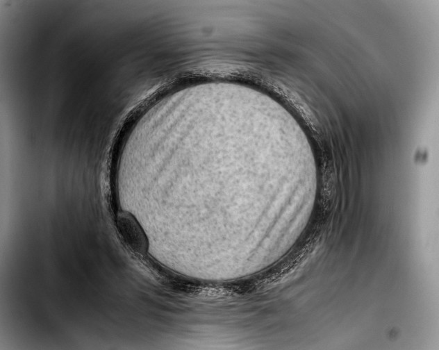 X0000103410399200810101001