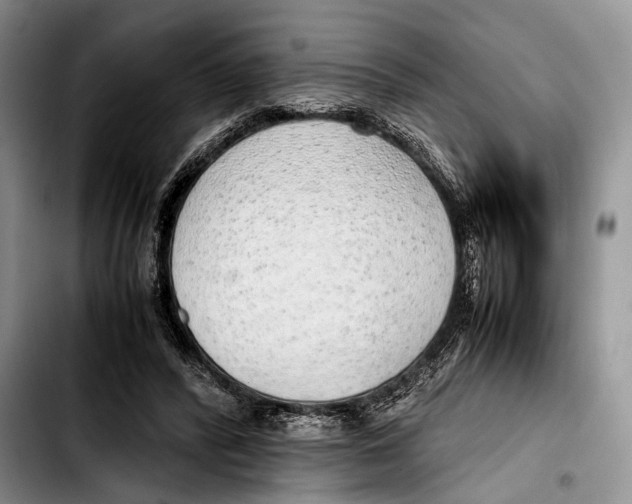 X0000103410400200810101001