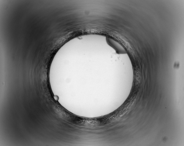 X0000103410401200810101001