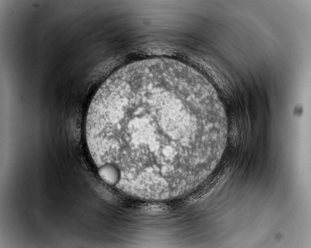 X0000103410402200810101001