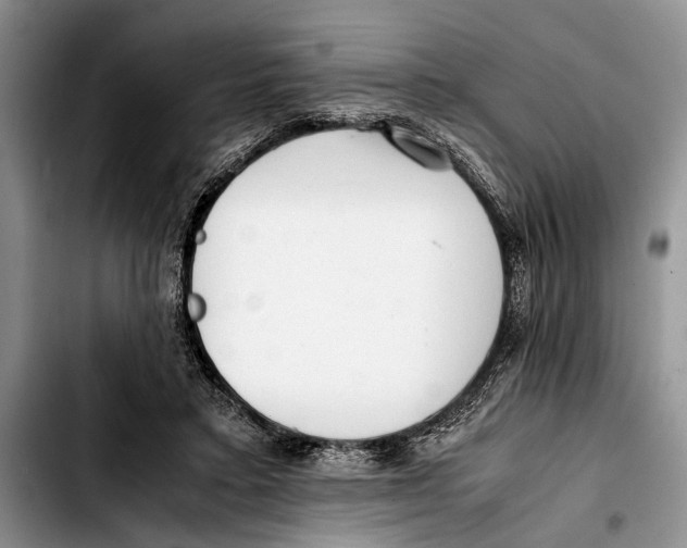 X0000103410403200810101001