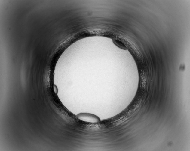 X0000103410404200810101001