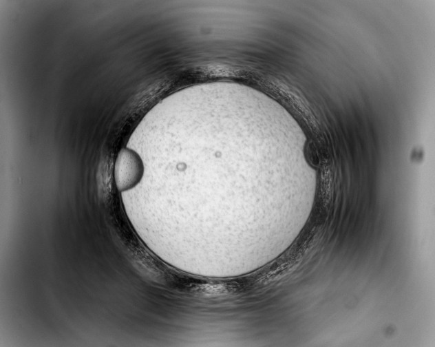 X0000103410406200810101001