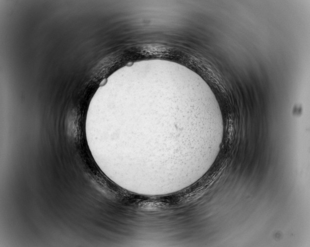 X0000103410408200810101001