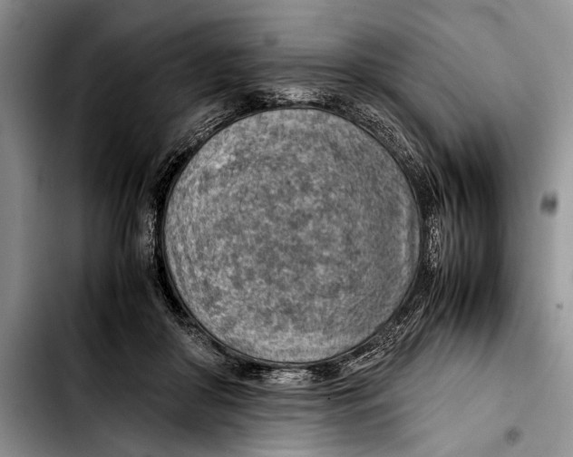 X0000103410410200810101001