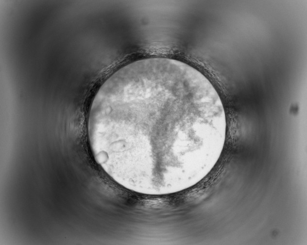 X0000103410411200810101001