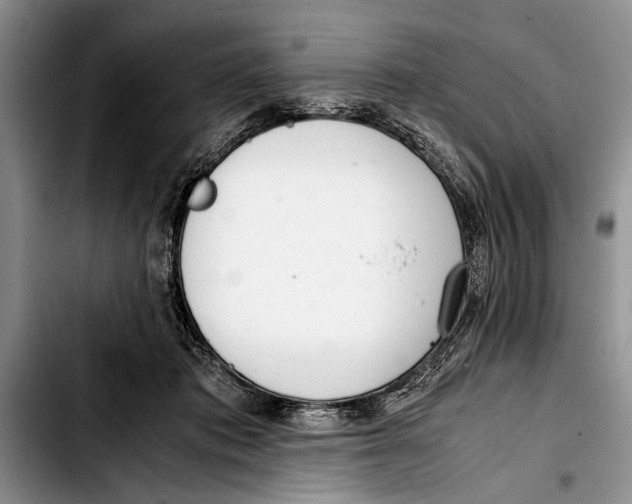 X0000103410413200810101001