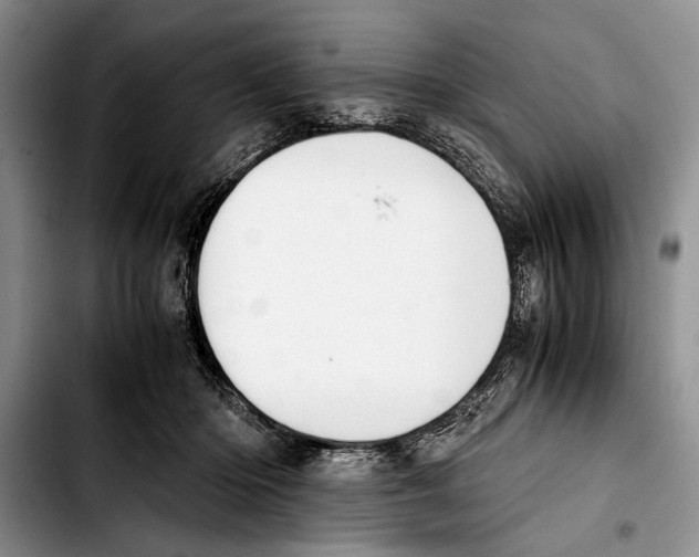 X0000103410414200810101001