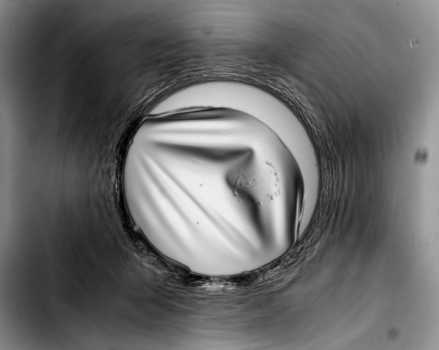 X0000103410415200810101001