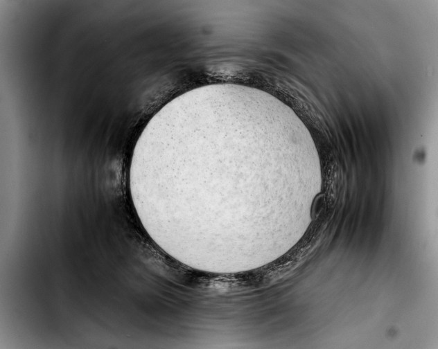 X0000103410420200810101001