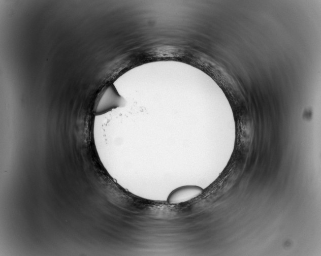 X0000103410422200810101001