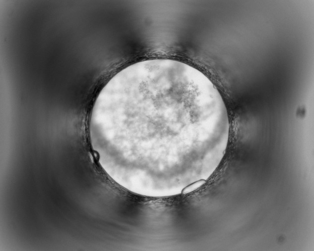 X0000103410423200810101001