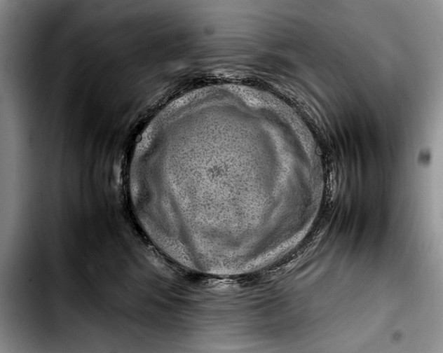 X0000103410424200810101001