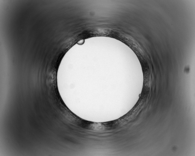 X0000103410425200810101001