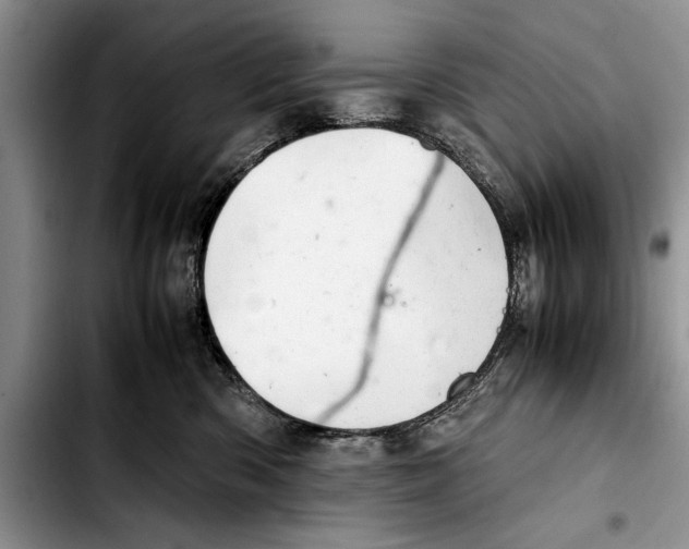 X0000103410426200810101001