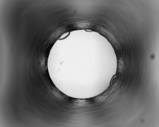 X0000103410428200810101001