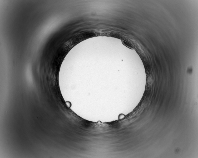 X0000103410429200810101001