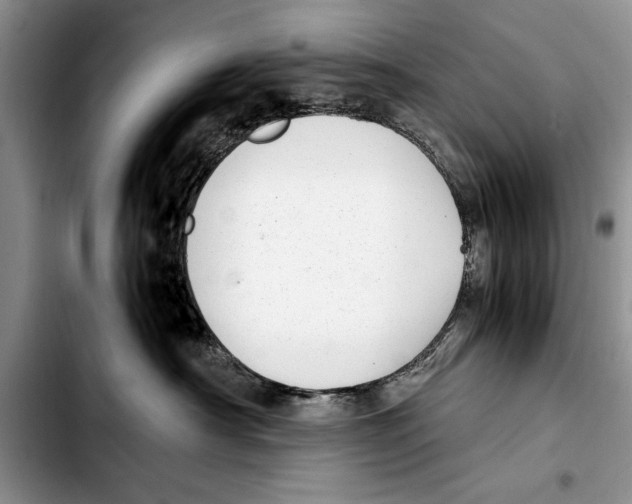 X0000103410430200810101001