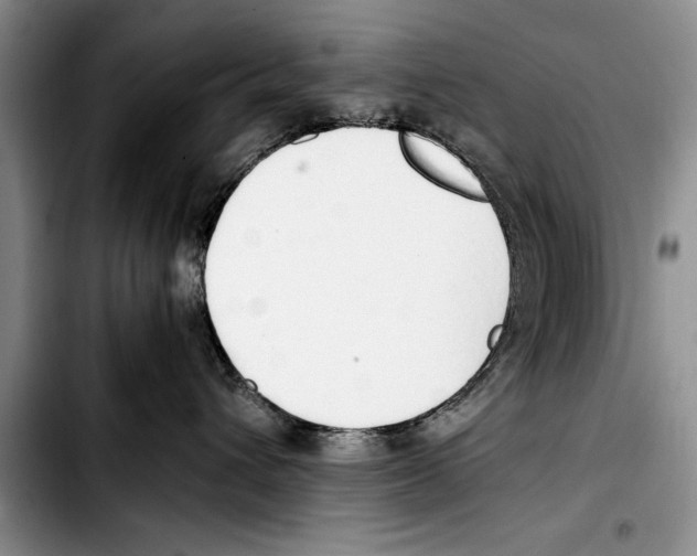 X0000103410432200810101001