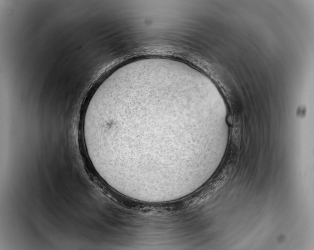 X0000103410434200810101000