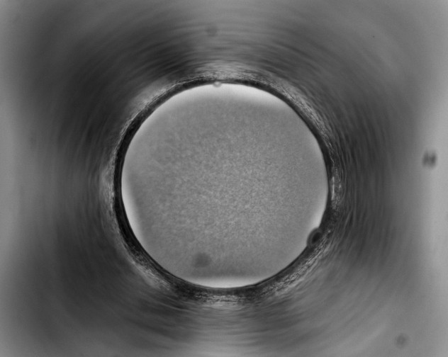 X0000103410438200810101000