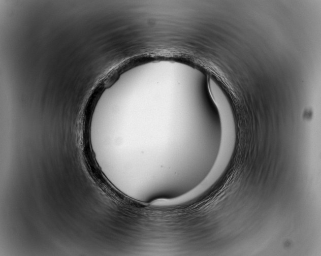 X0000103410444200810101000