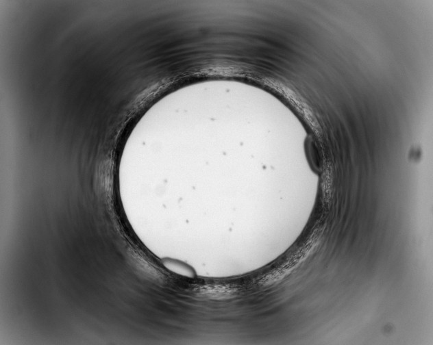 X0000103410445200810101000