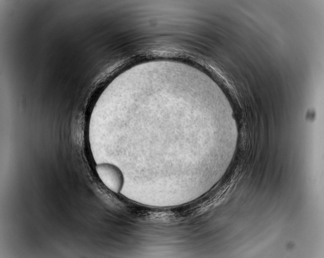 X0000103410446200810101000