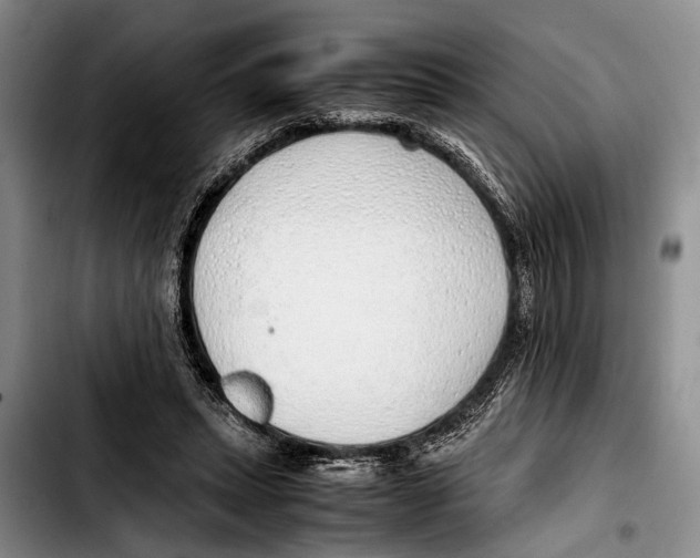 X0000103410447200810101000