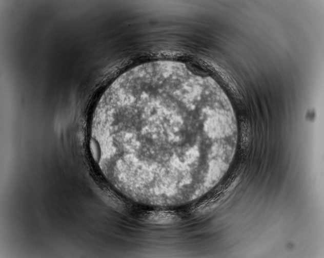 X0000103410451200810101000