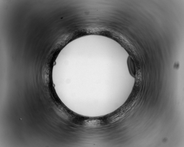 X0000103410452200810101000