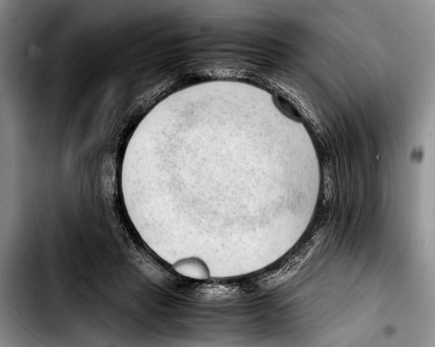 X0000103410453200810101000