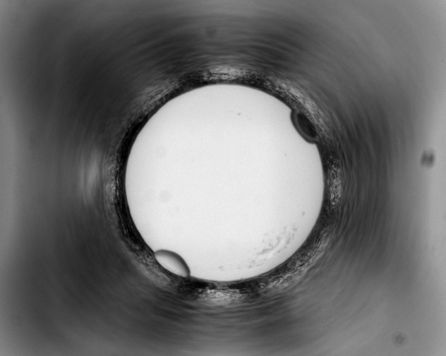 X0000103410455200810101000