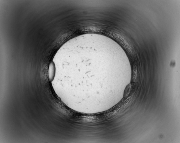 X0000103410457200810101000