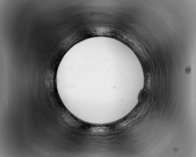 X0000103410461200810101000