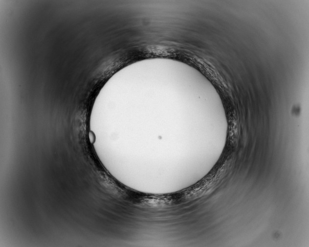 X0000103410466200810101000