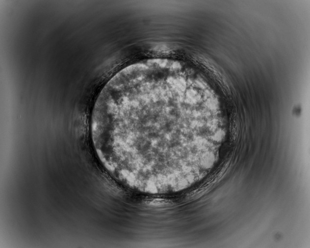 X0000103410467200810101000