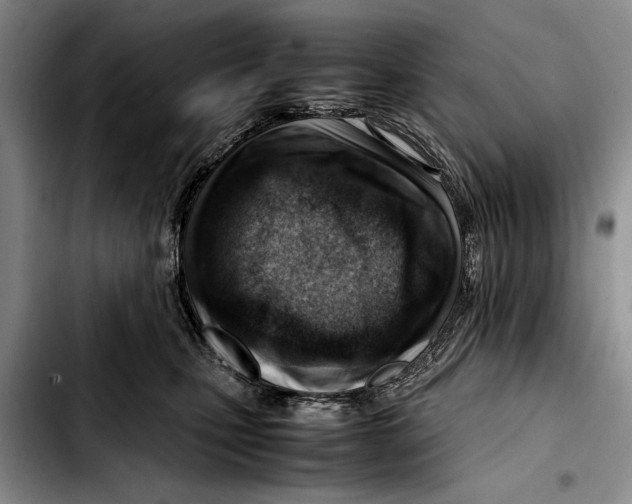 X0000103410471200810101001