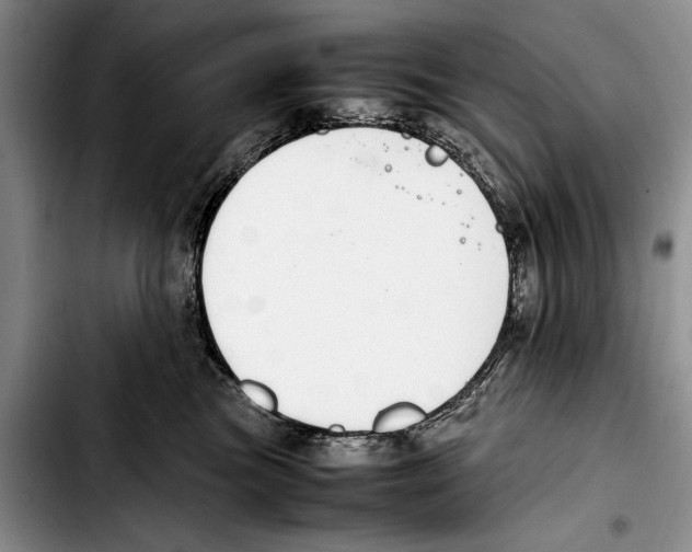 X0000103410473200810101001