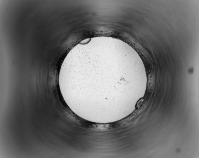 X0000103410474200810101001