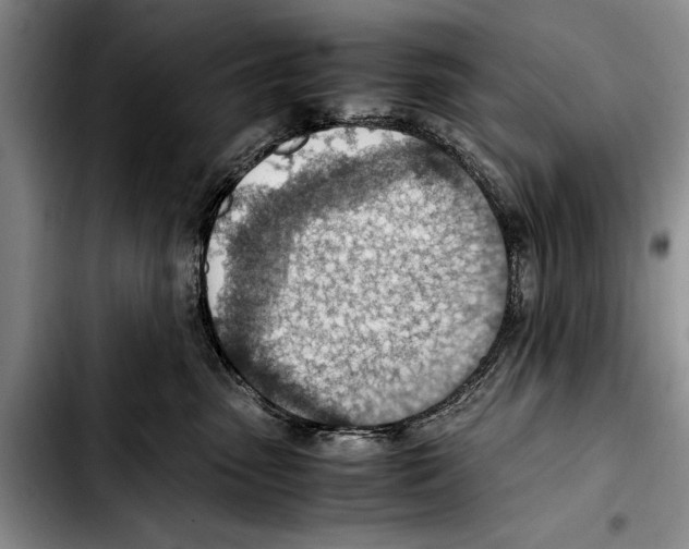 X0000103410475200810101001