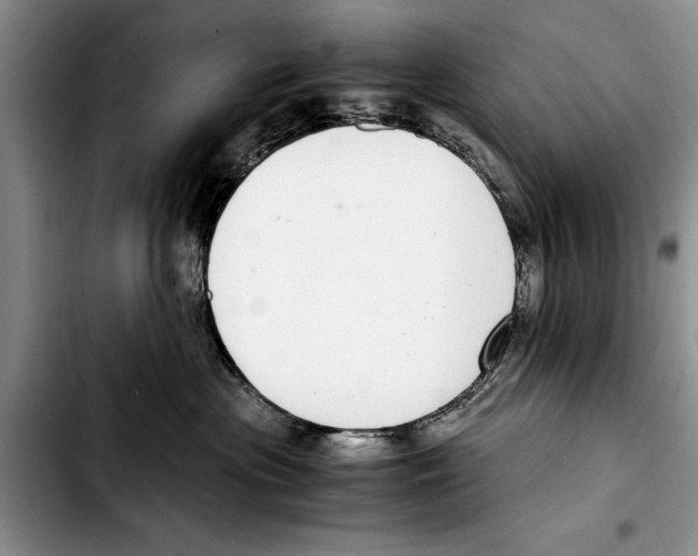 X0000103410477200810101001