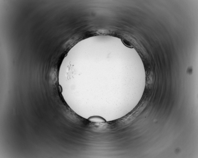 X0000103410478200810101001